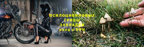 a pvp Бронницы