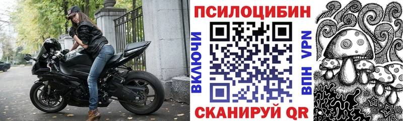 MEGA зеркало  Камызяк  Галлюциногенные грибы Psilocybe 